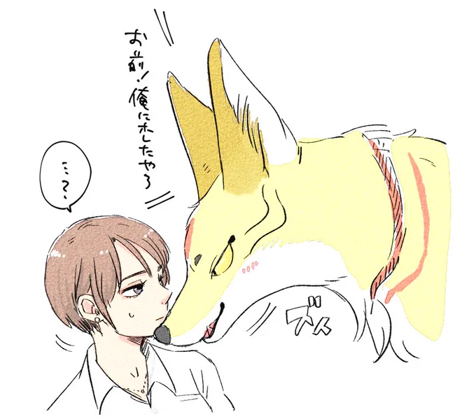 👩「無いです。てか私彼氏いるんで」
🦊「な………カレシって何?」 