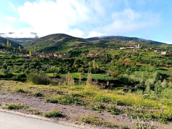 بلدتي وموطني  .
عندما يبدع الله في خلقه .