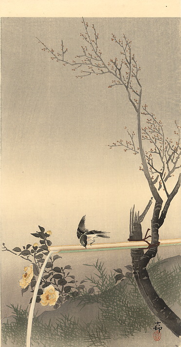 ohara_koson's tweet photo. Stonechat #shinhanga #koson https://t.co/iVnSOukKRg https://t.co/DL8JcVa8Vr
