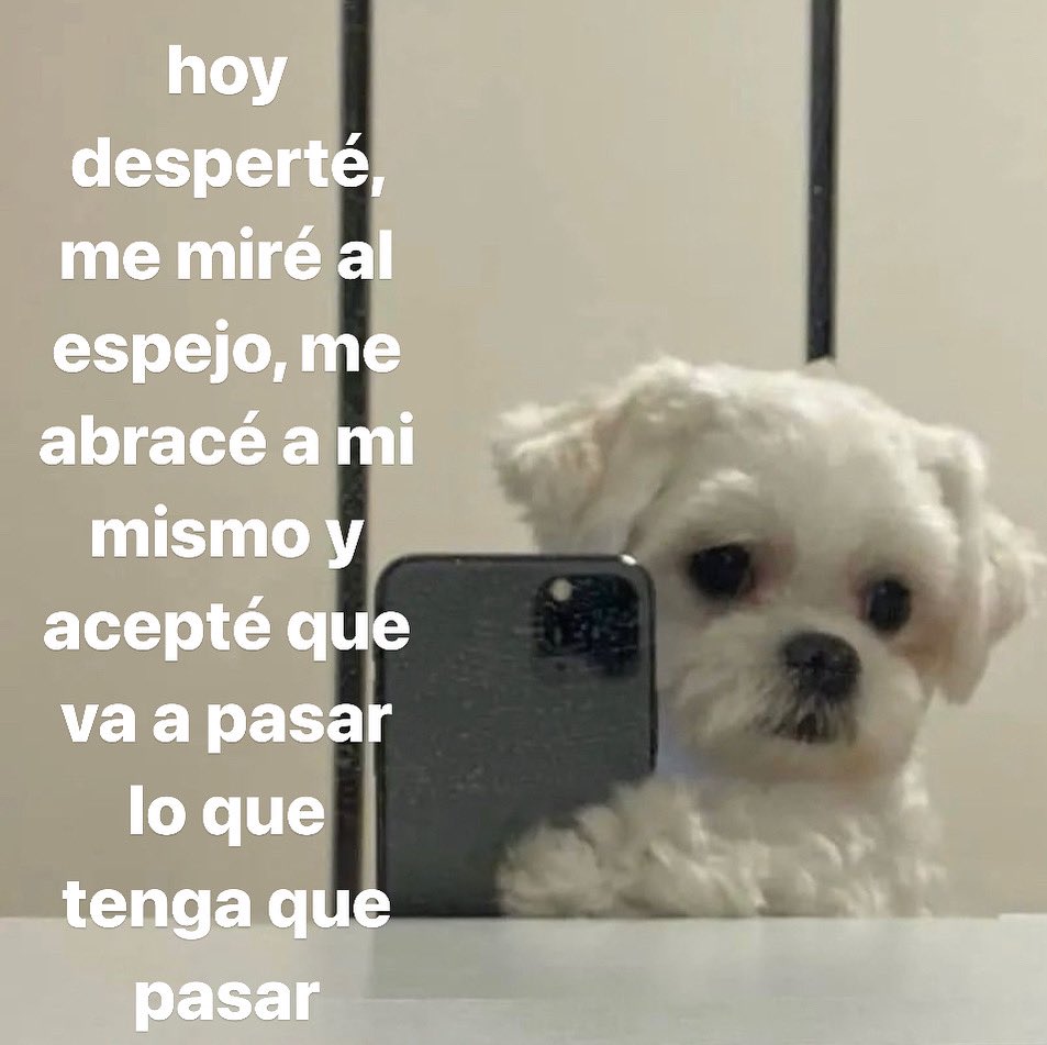 pri𐤀|⁷ (@ddaengkook) on Twitter photo 