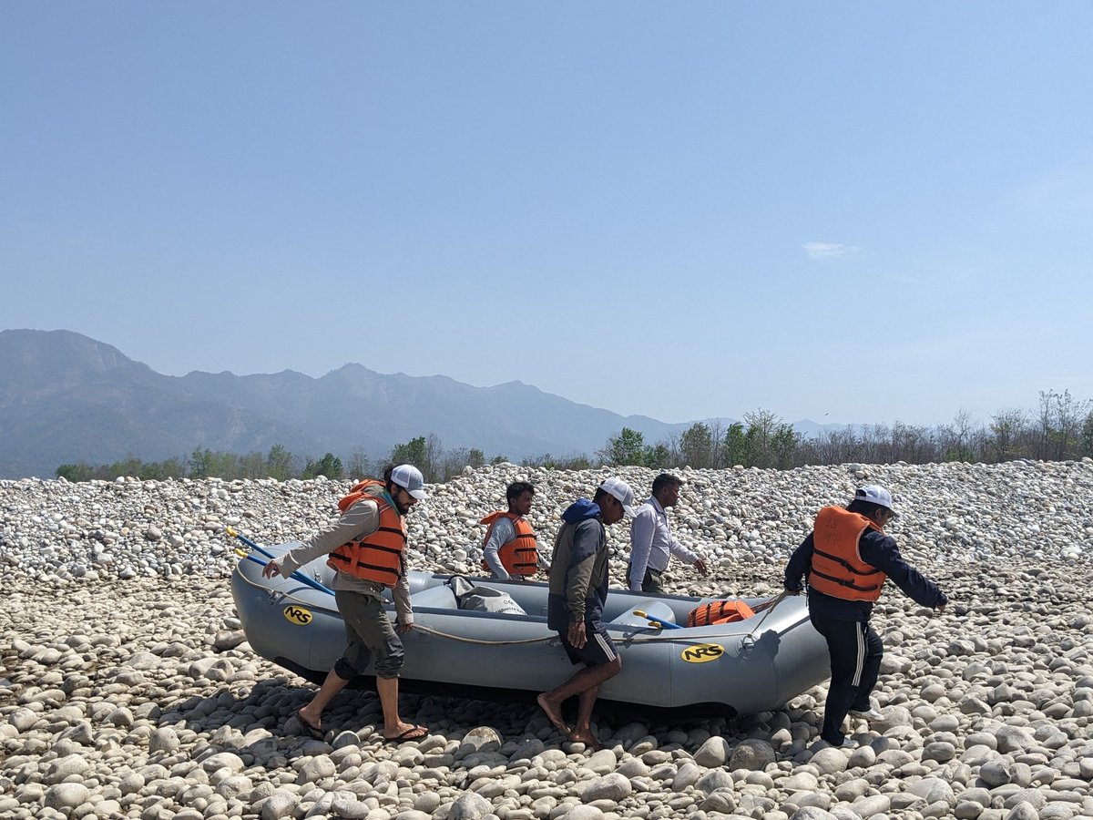 bibekrshrestha's tweet photo. Ganges river dolphin 🐬 survey for 2023! #WeAreCLP https://t.co/nC3o8Wdl2w