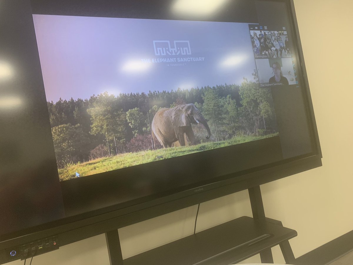 Last day of The Wildlife Warriors club this past Monday and we closed out the season strong with a zoom meeting with the Elephant Sanctuary in Tennessee. <a href="/HowittMS/">HMS Dalers</a> #elephantsanctuary