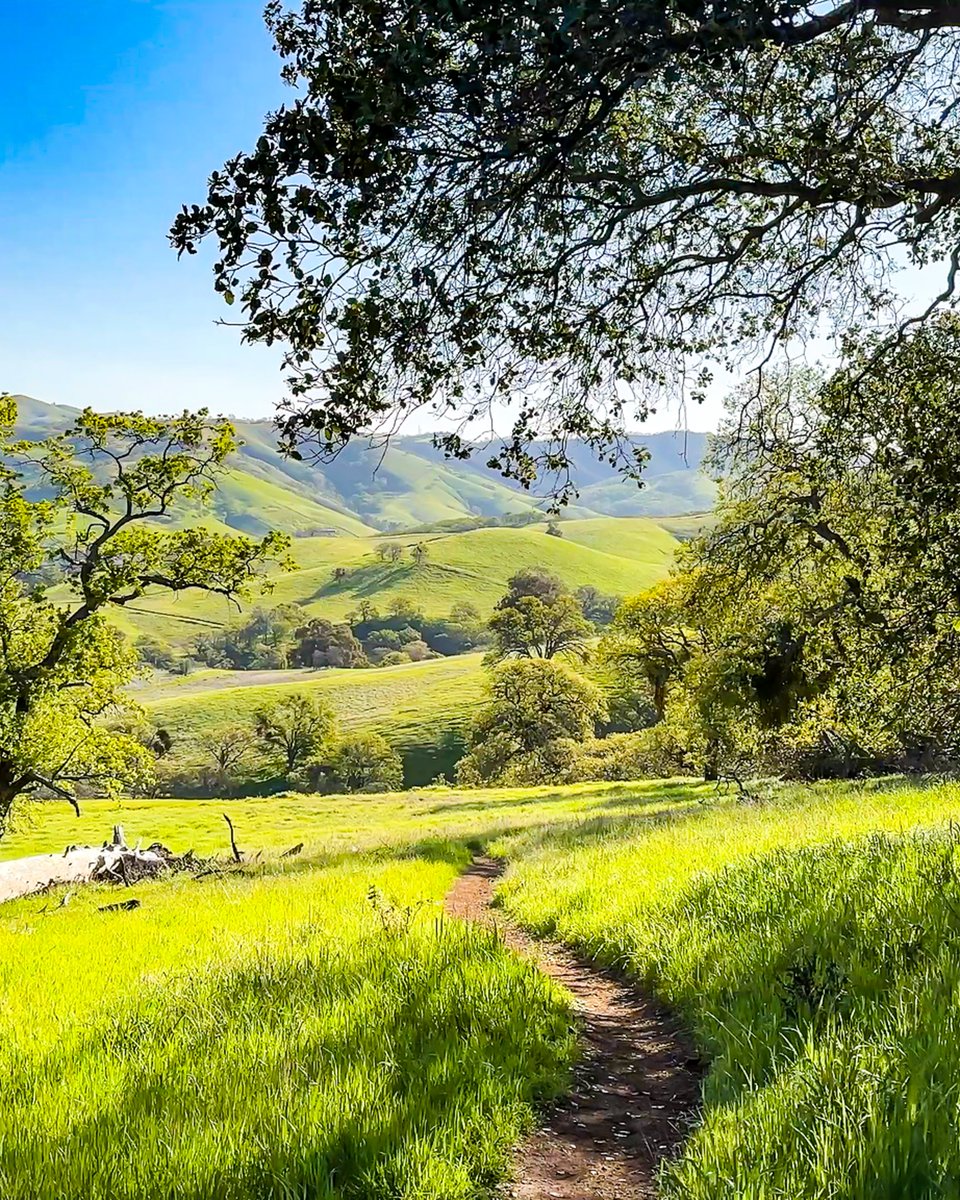 ashokaupadhya's tweet photo. Mount Diablo #California #BayArea https://t.co/iBZsZ5qs6X