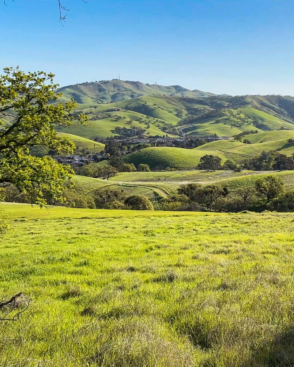 ashokaupadhya's tweet photo. Mount Diablo #California #BayArea https://t.co/iBZsZ5qs6X