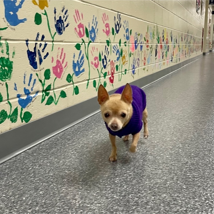 Tra Keilty tweet media