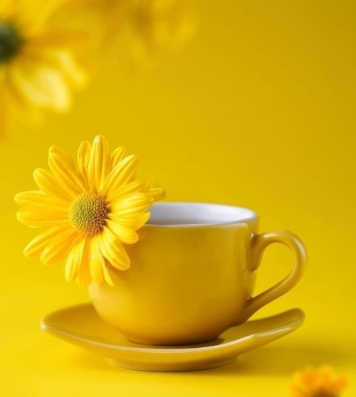 नौमी तिथि मधु मास पुनीता।
सुकल पच्छ अभिजित हरिप्रीता॥

 मध्यदिवस अति सीत न घामा। 
पावन काल लोक बिश्रामा॥❤️🤞

#सुप्रभात 🌻
#राधे_राधे ❤️
#रामनवमी_की_हार्दिक_शुभकामनाएं 
😉😎🤓🤞