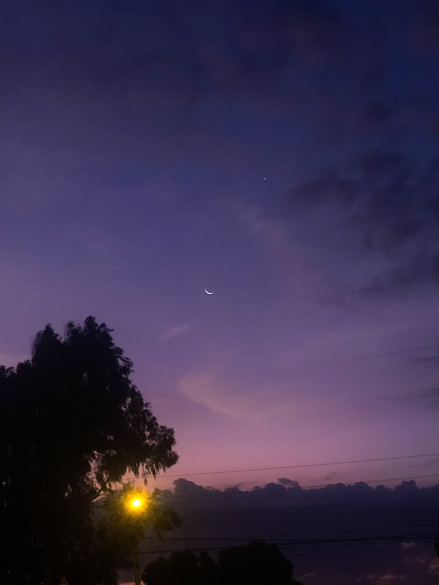 DanielRM tweet media