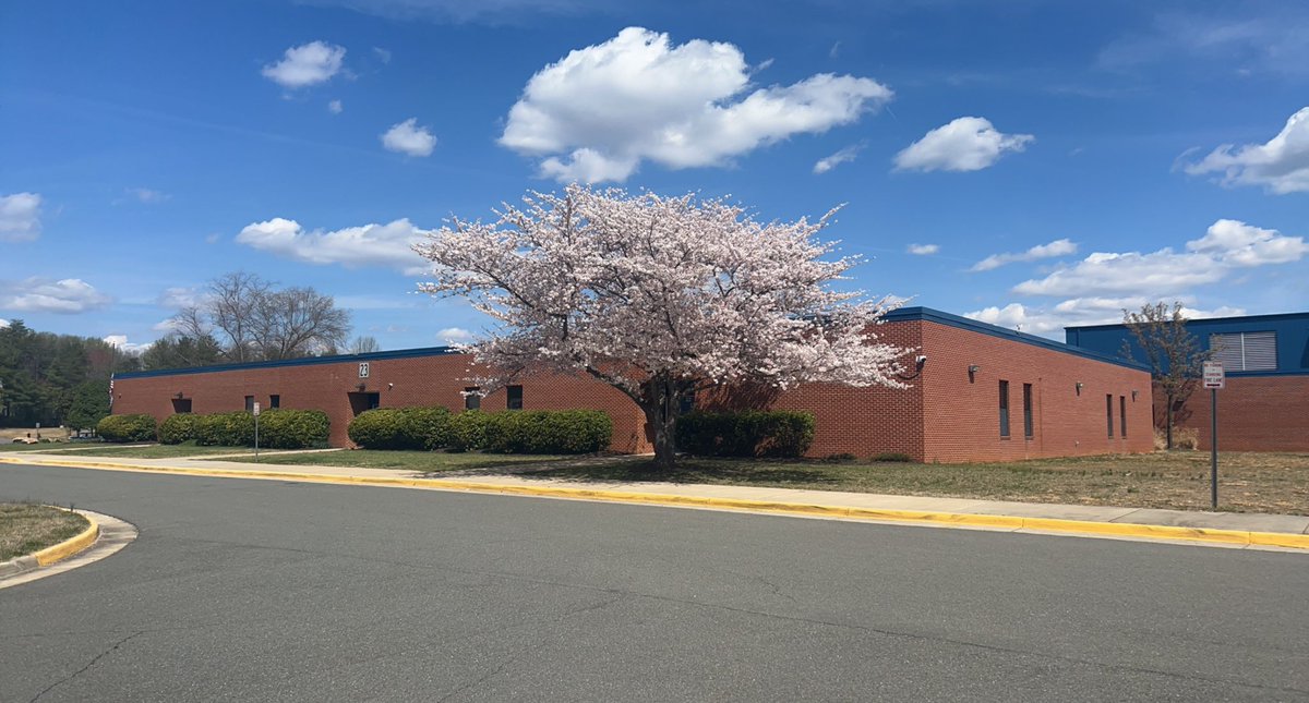 Morgan Lowry tweet media