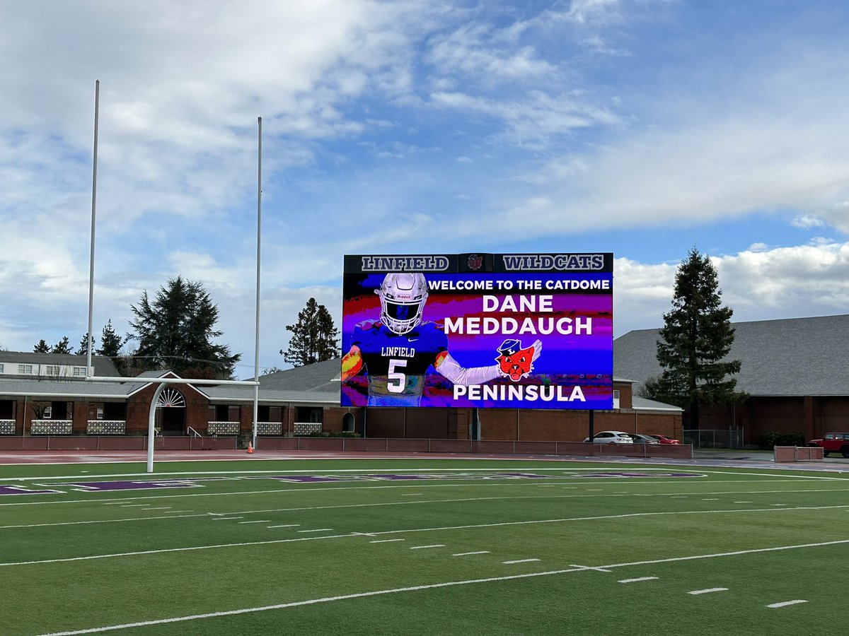 Dane Meddaugh tweet media