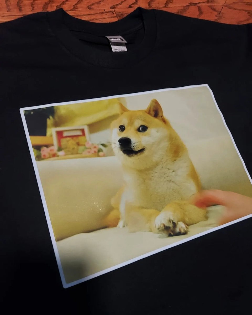 GoDogeArmy's tweet image. Ðogecoin is taking over the world, and our GoDoge.Army T-shirt is the perfect way to join the revolution! Order now at  and show off your love for the Doge meme.

 #GoDogeArmy #Dogecoin #MemeTee #ToTheMoon

godoge.army/products/doge-…