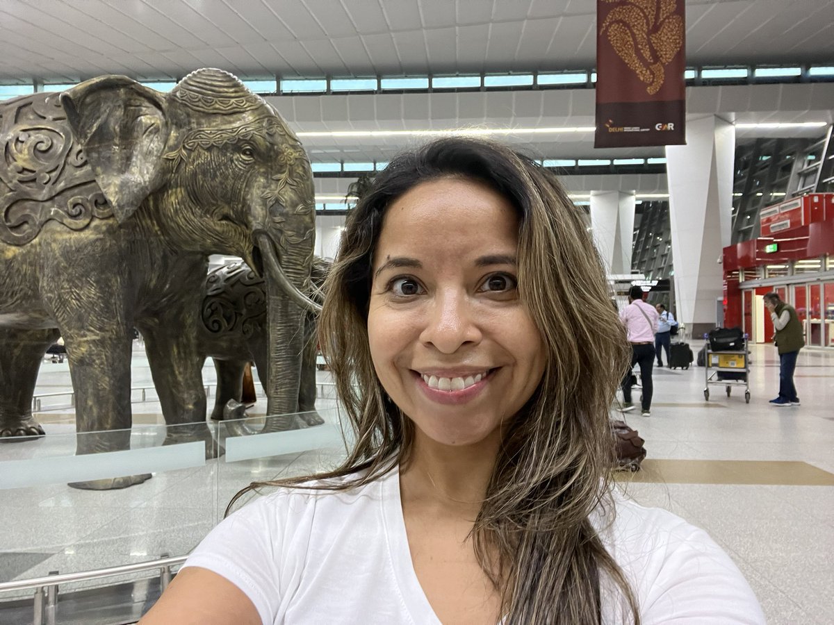 Susannah Kate Plaisted tweet media