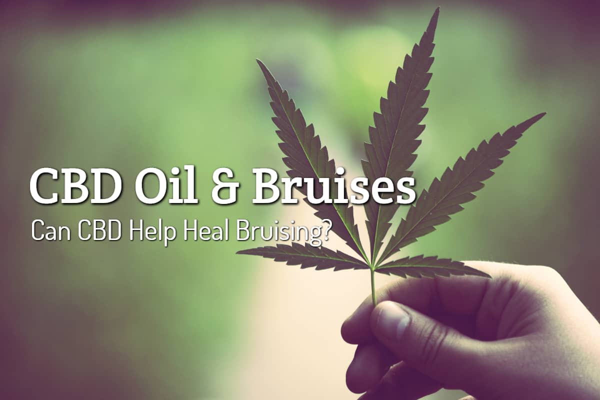 bestcbdfinder's tweet photo. Is CBD good for healing bruises? 🩹 Check out this easy guide to learn how CBD cream or CBD oils can help bruises heal faster. Plus, find the best CBD products to try!
https://t.co/jqlwb3EUEm https://t.co/dsZhrS8SZC