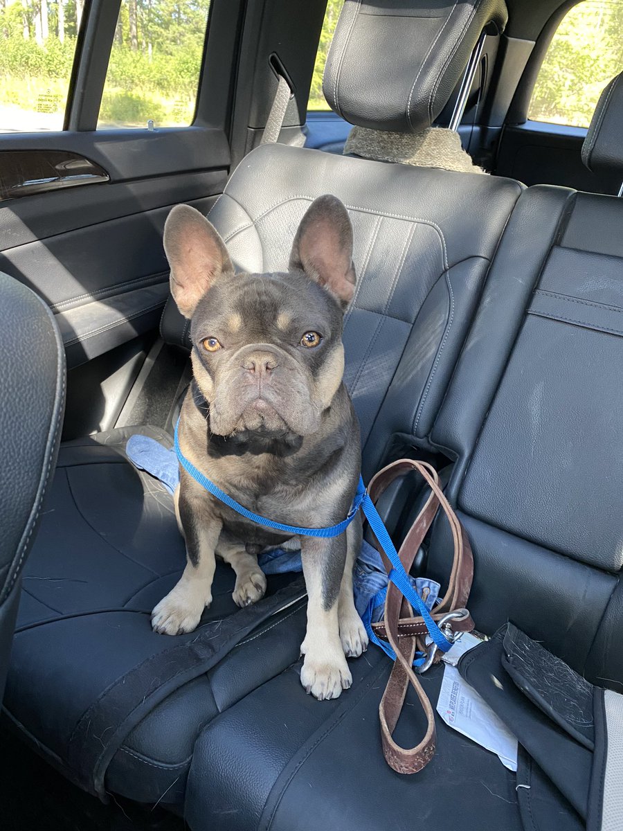 Dwight Clark tweet media