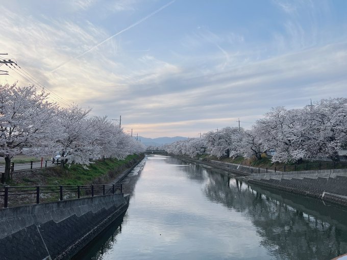 Twitterのコスプレ画像17