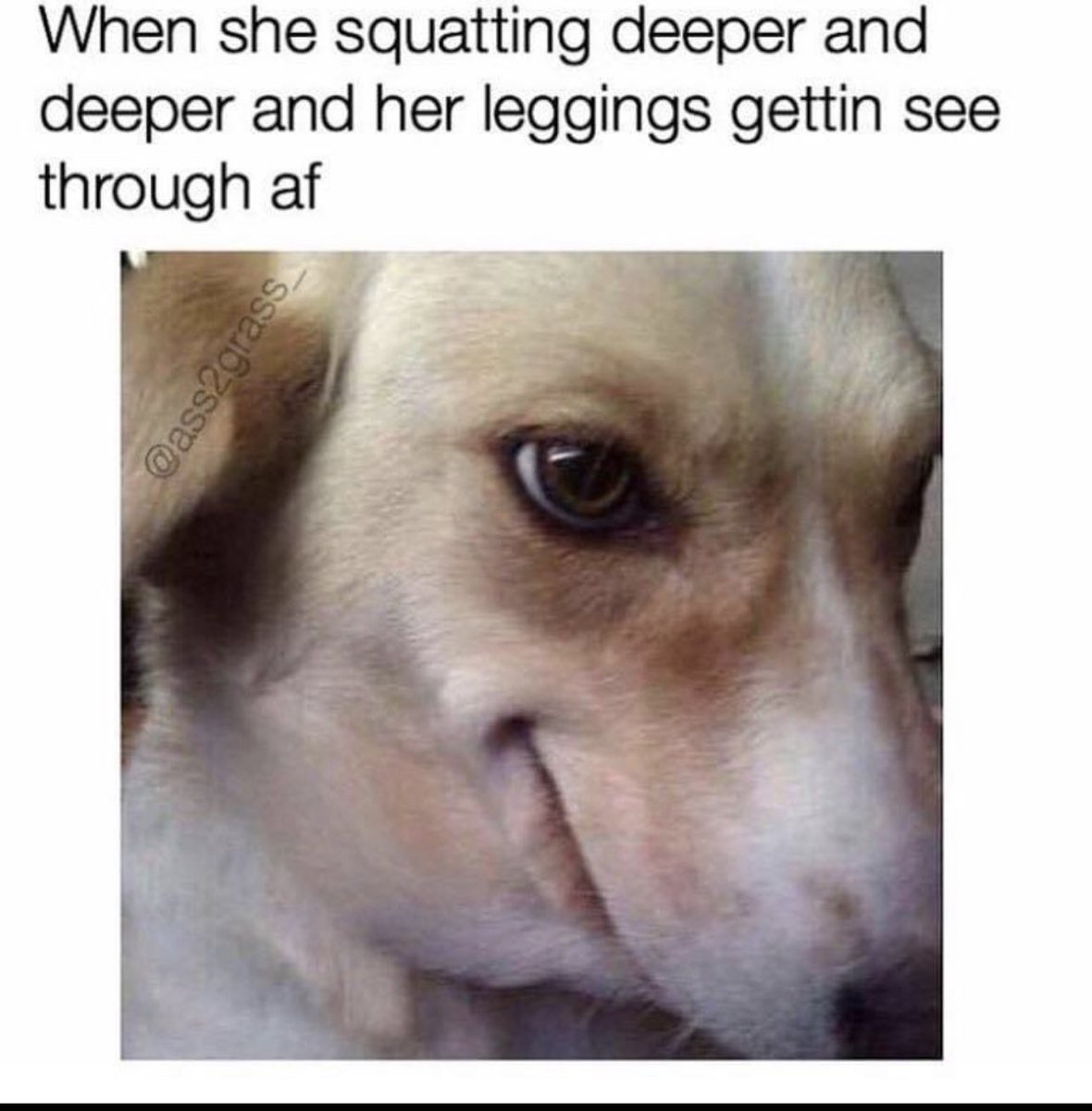 fitt_mo's tweet photo. 😀#squats https://t.co/Hp6HpTqmXk