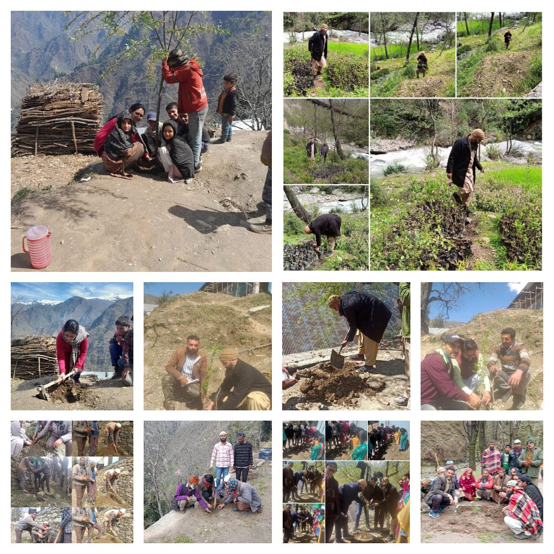 HRamban's tweet photo. #plantationdrivejktjacrbn2023 
Plantation drive, 2023 by JKTJAC Ramban is in full swing throughout District Rbn,our plant is our contribution and thanks to our environment/nature. Jai Hind. 
@dcramban @DSEJDrRSSharma @ChiefRamban @DrJitendraSingh @SchoolEduJK @OfficeOfLGJandK https://t.co/7soQW4ow5I