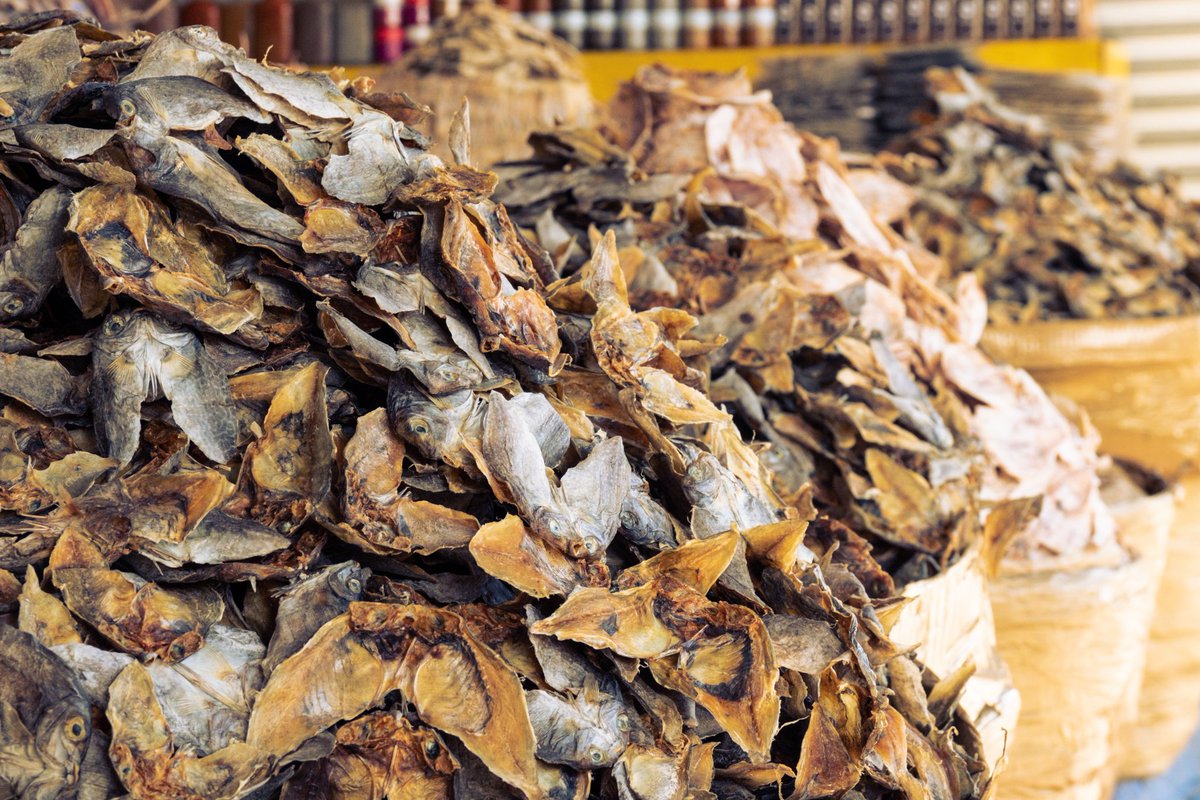 Dwitterrr's tweet image. #Archives #Cebu #Danggit