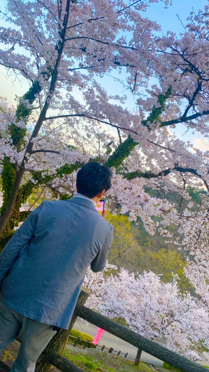pudolu2's tweet photo. 桜ももう終わるな🌸 https://t.co/J0P4dC53TW