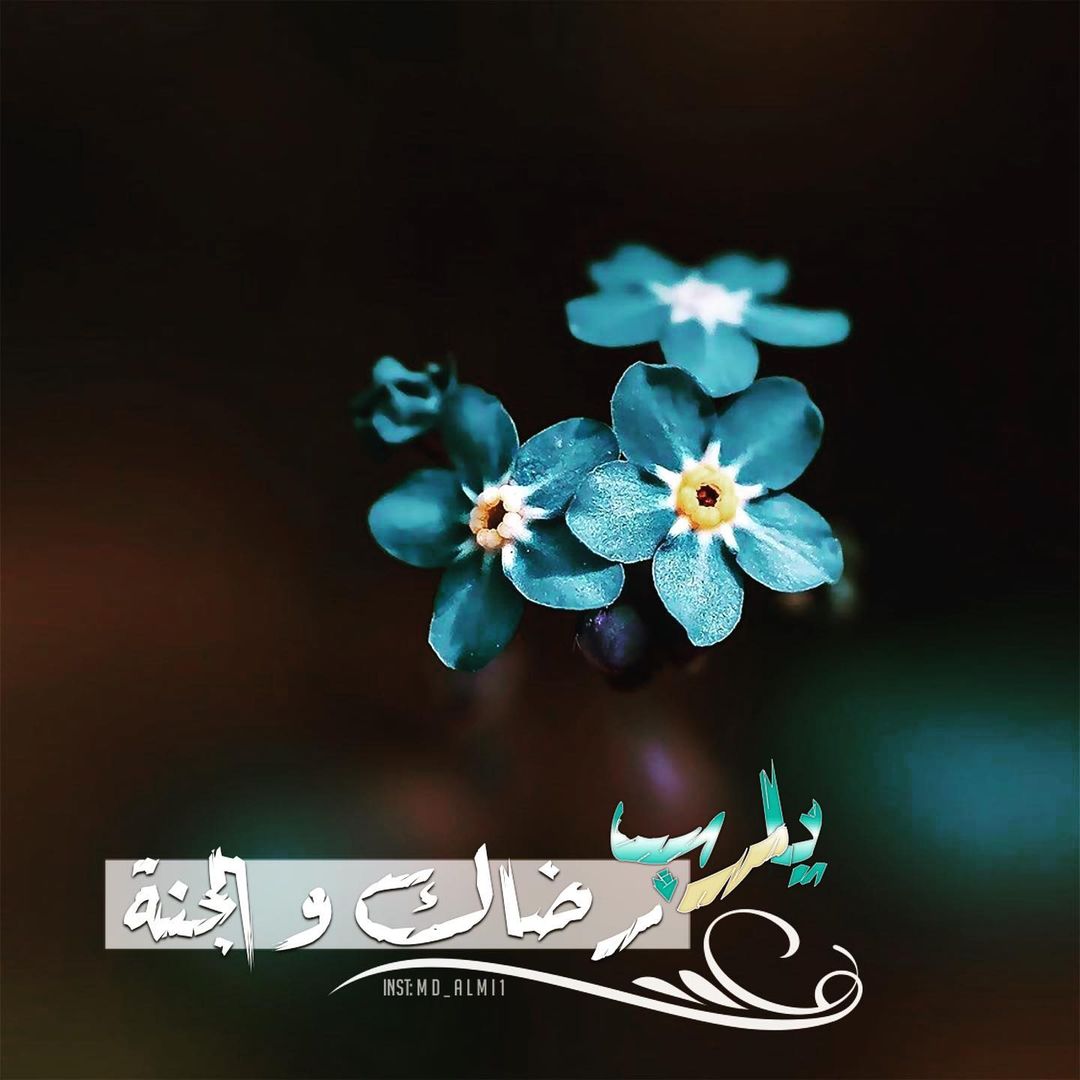 المصحف الجامع (@almoshaf_algame) on Twitter photo 
