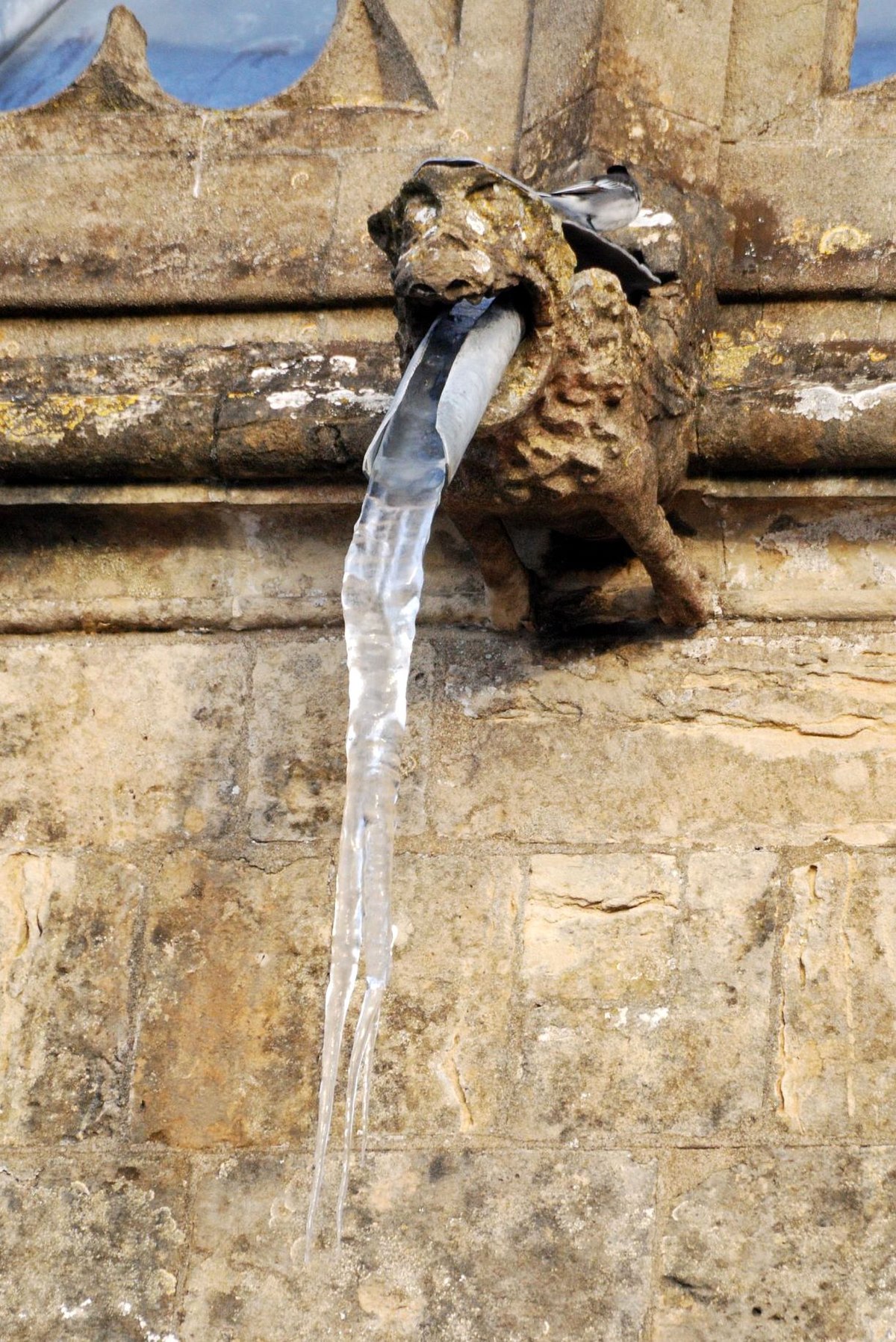 And a gargoyle is simply a water spout in the form of a grotesque, used to direct rainwater away fro