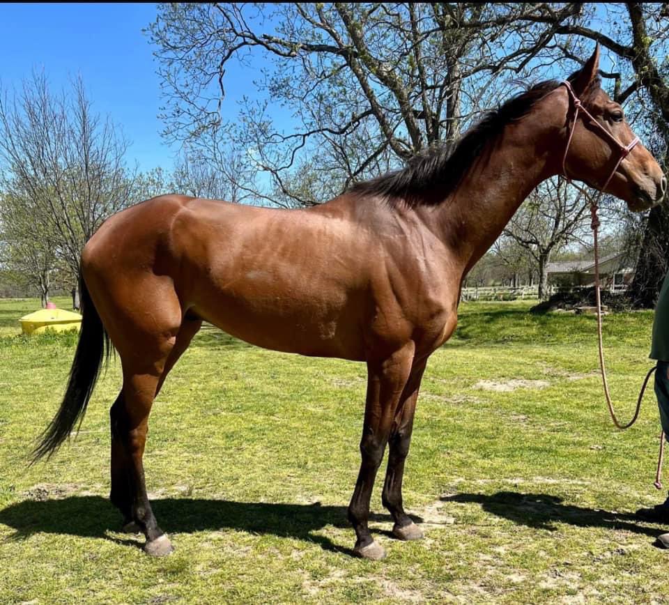 WestCanTB tweet media