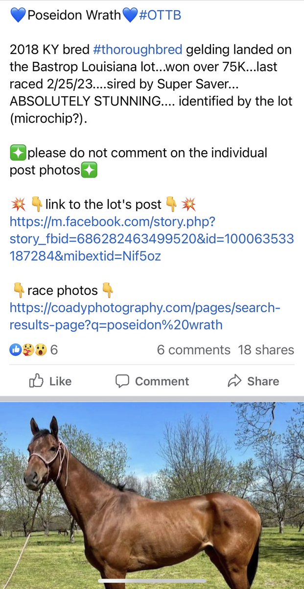 WestCanTB tweet media