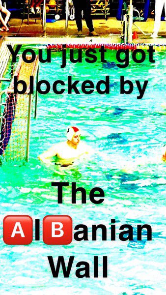 Oakville Water Polo tweet media