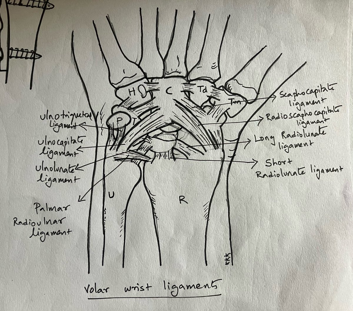 Dr Kannan K Kumar (@plexusorthoexam) on Twitter photo 