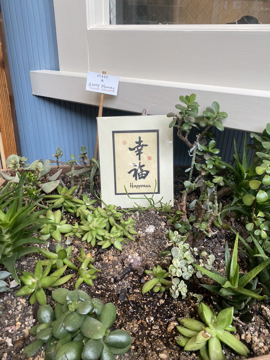Welldweller's tweet photo. 4th highest score on Ghostbustets pinball, fountain outside our hotel was cute, cute indoor garden and the sign outside of an Alebrijes shop! https://t.co/y6Nx6hR2f0