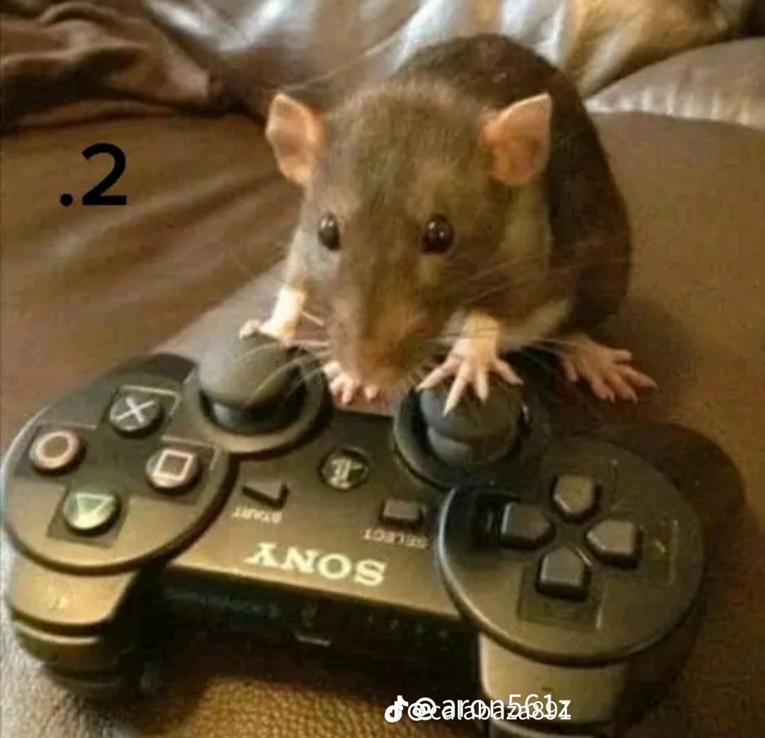 Fan_de_Caty's tweet photo. Buscando novia en esta app toda chafa pt1 https://t.co/xAf1vbEFNc