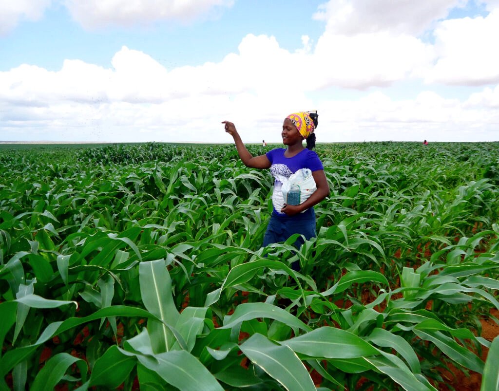 James Legg tweet media