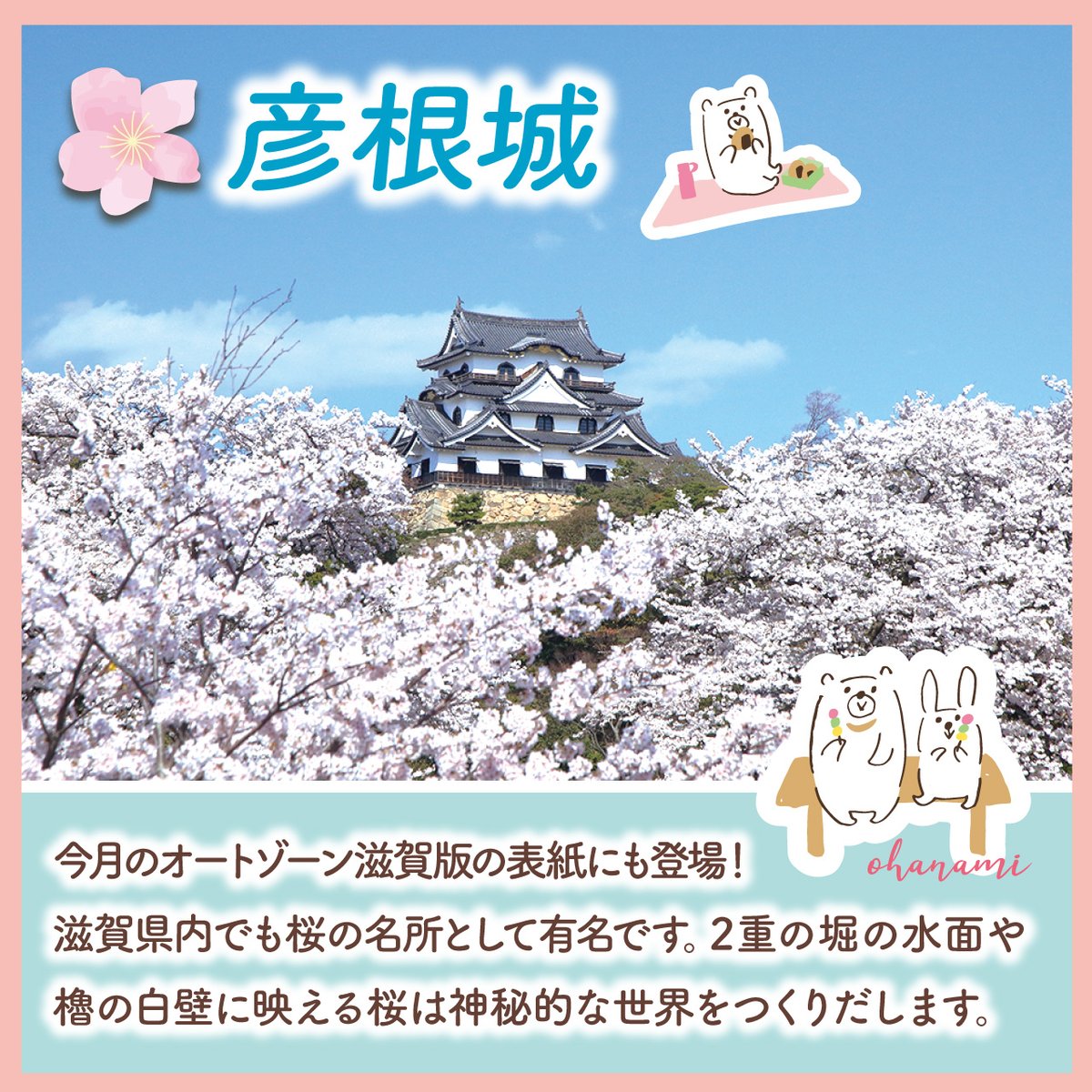 AutozoneCarMG's tweet photo. いよいよお花見シーズン到来ですね🌸
滋賀のお花見スポットをご紹介♪
#オートゾーン #autozone #車 #中古車  #桜 
 #お花見 #お花見スポット #ドライブ https://t.co/R5zg6LyiIe