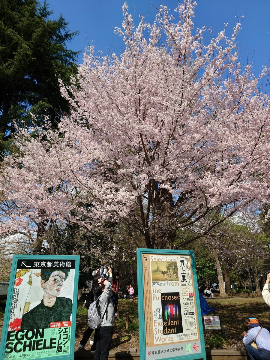 facestretching's tweet photo. 上野公園は楽しげな人々であふれています。マスクを外している人も増えてきました。
お待ちかね #フェイスストレッチング 1時間講座の午後編は4/19(水)4/26(水)共に13時から14時です。
#フェイスストレッチング協会
#白金台教室
#表情筋エクササイズ
#東京春音楽祭
#イマソラ https://t.co/J86iWPwEt1