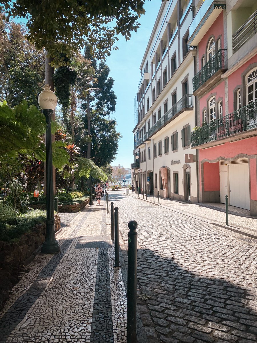 astyleu_ptlife's tweet image. 🇵🇹 Bom dia

🇬🇧 Good morning

🇯🇵 おはよう

📍Funchal , Madeira