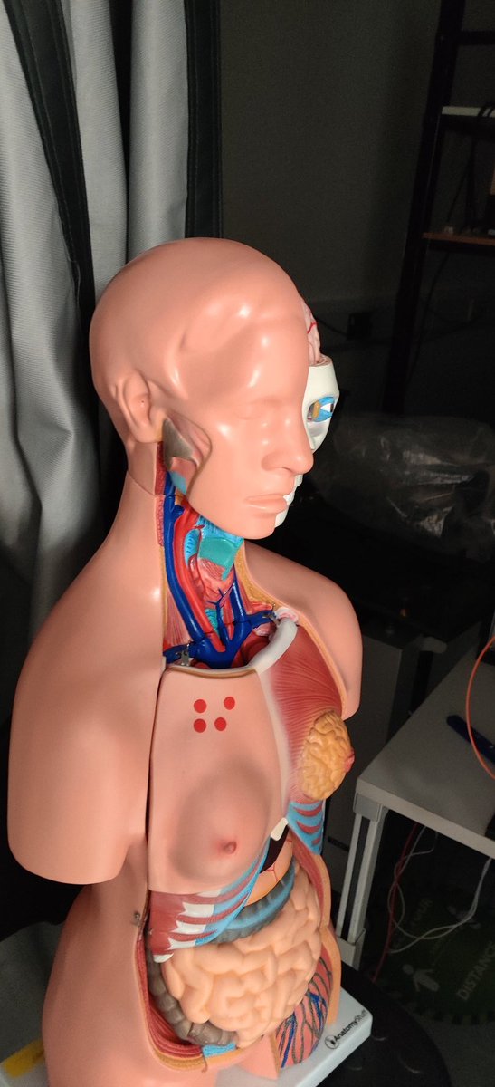 When you forget you stored the anatomy manikin behind your lab door, and get an early morning fright 😅 <a href="/Raman_NanoT/">Raman Nanotheranostics (RaNT)</a>