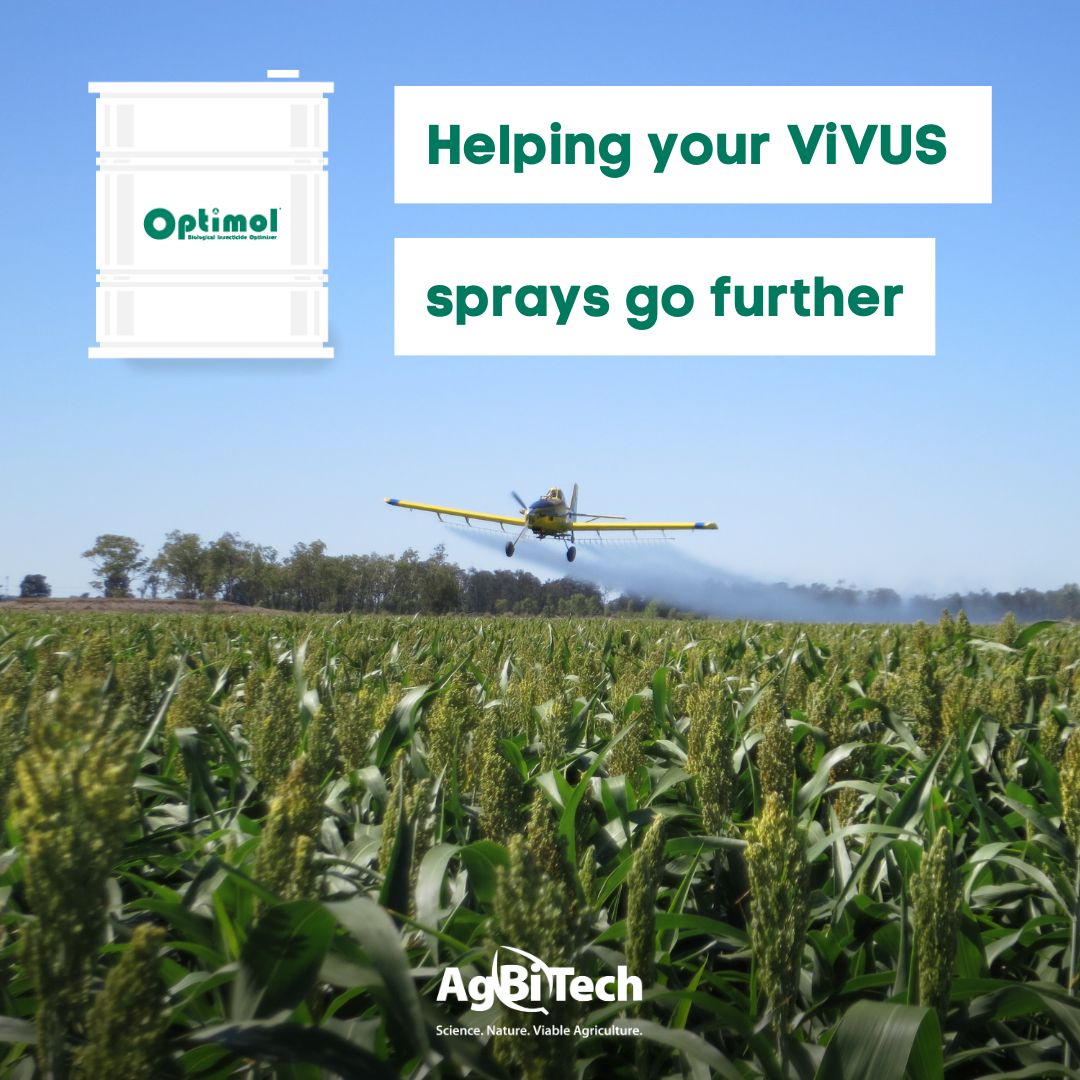 AgBiTechAU's tweet photo. Want to help your #ViVUSMax applications go further when spraying #sorghum?

#AgBiTech’s #Optimol adjuvant is the perfect tank addition for low-volume aerial applications ✈️

Tech info 👉 https://t.co/rzYETM4mXw https://t.co/Lt8odW6G1K