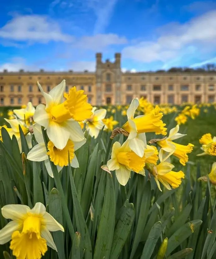 VisitBristol's tweet photo. Bring on spring! 🌱

📸 @Richimal 
📍 Ashton Court Estate

https://t.co/1HXiTgTucA https://t.co/b06dMwMNFP