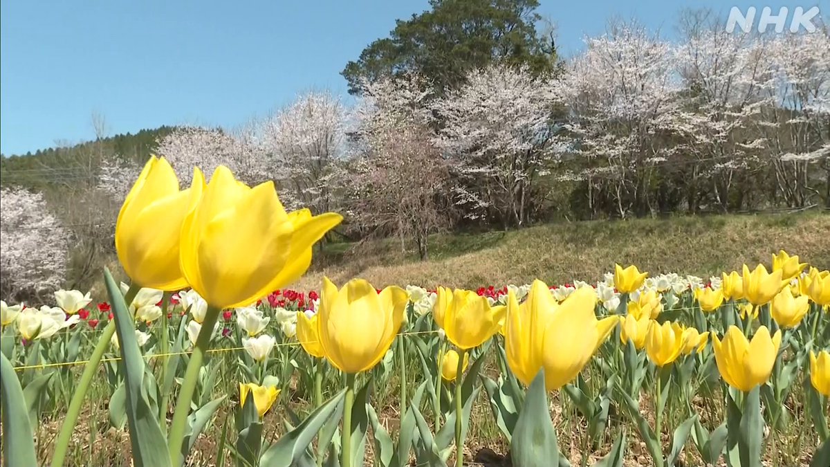 #道の駅
#道の駅宇目
#道の駅うめ
#うめりあ
#猫バスが停まる里
#ユネスコエコパーク
#祖母傾大崩ユネスコエコパーク
#ユネスコ
#藤河内渓谷
#キャニオニング
#柳瀬
#南田原
#小野市
#宇目
#佐伯市
#大分県

#おかえりなさいき
#きてくださいき 