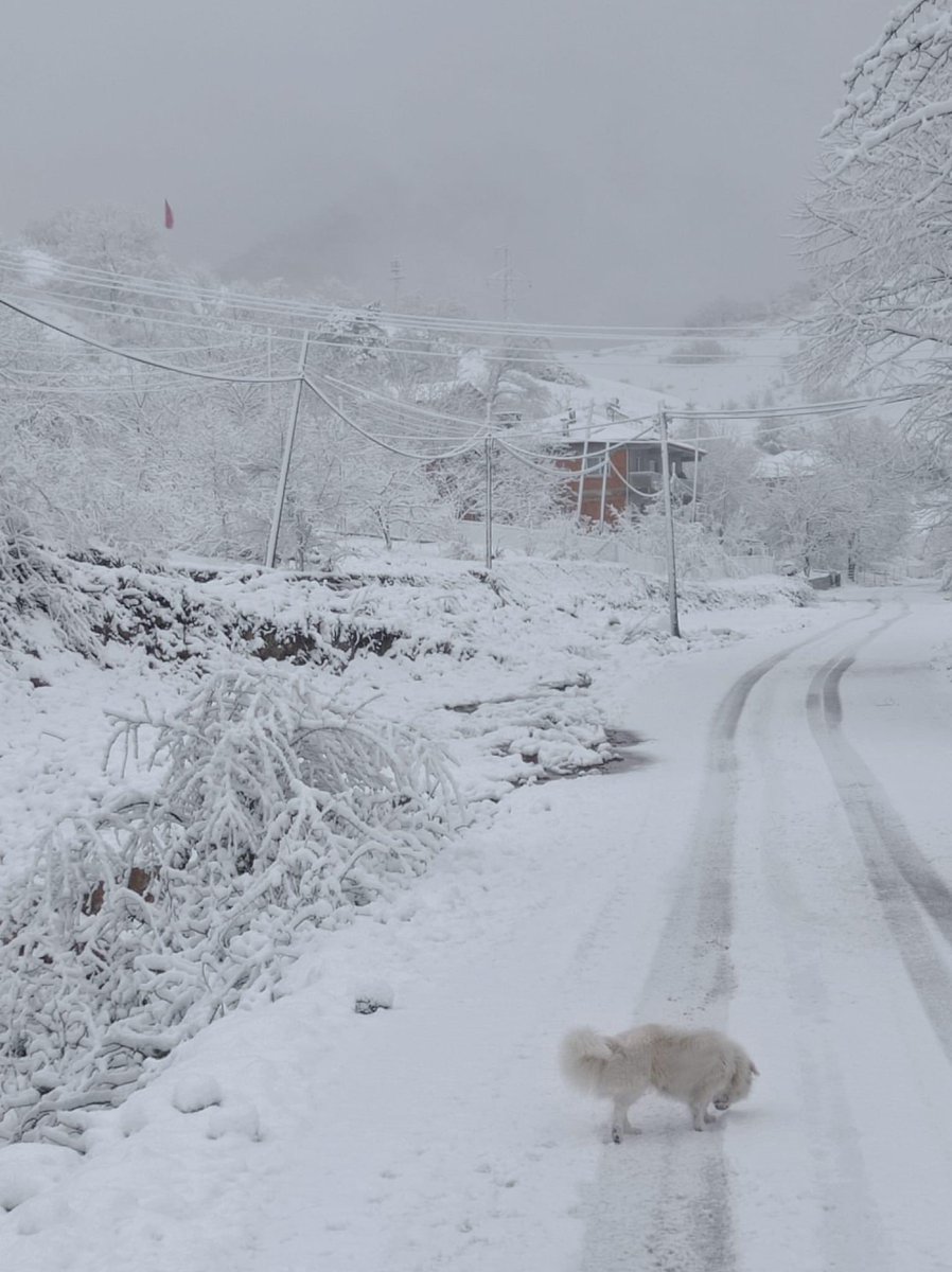 KOTRAMurat's tweet photo. Zonguldak Kdz. Ereğli #Hasbeyler köyü https://t.co/9cPfPQVsIV