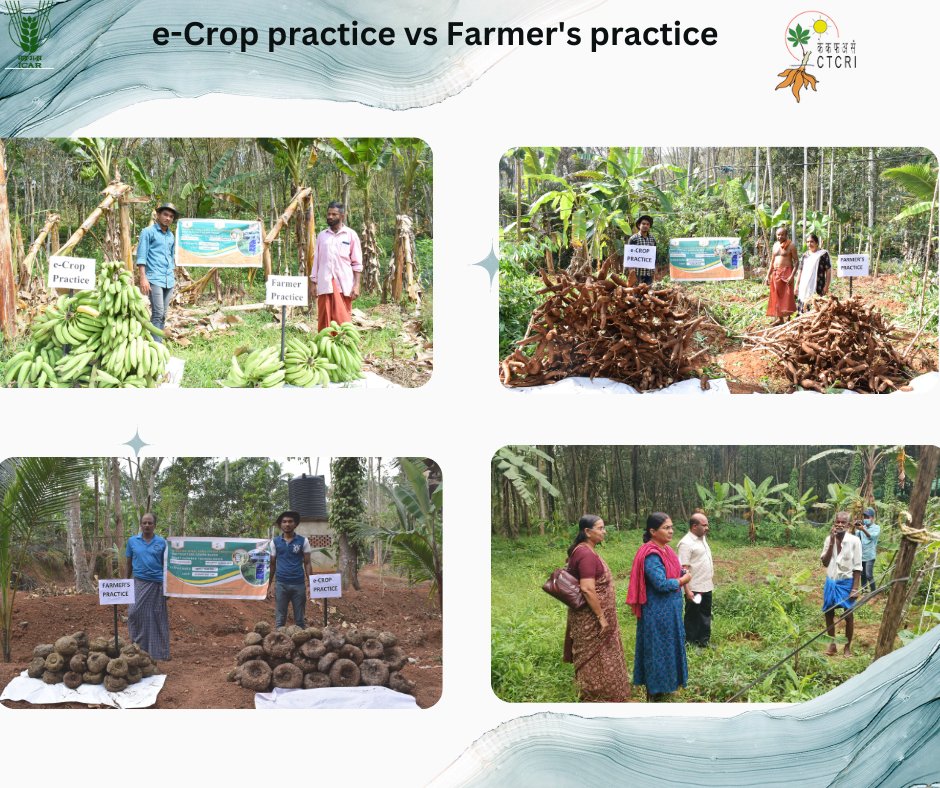 icarctcri's tweet photo. Smart farming: A better Technological option for modern farming
#ICAR #ctcri #smartfarming #agriculture #modern #technologies #KeralaAgriculture #AI #it #farmers #G20India #pmkisansammannidhi #IoT https://t.co/zTNBm0FeCK