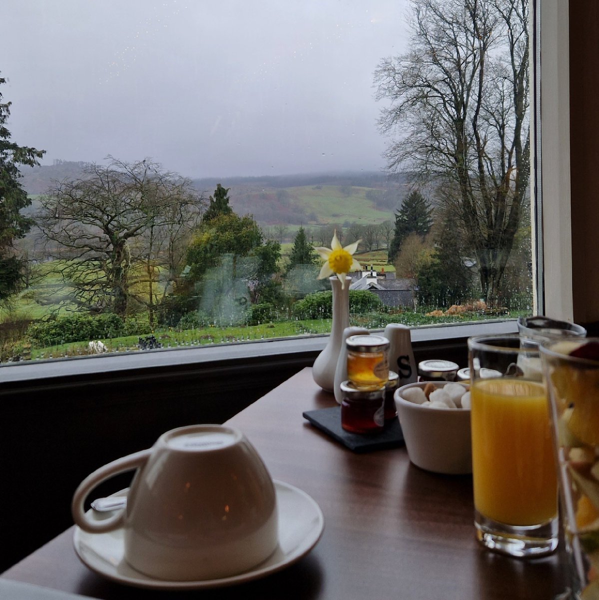 Even in the rain, we love the view at breakfast.

sawreyhousehotel.com/breakfast/

#breakfast #breakfasttime #earlymorning #rain #greydays
