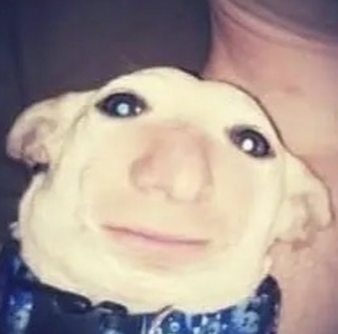 HELP I CAN&rsquo;T STOP LAUGHINF AT THIS PICTURE I HAVE ALREADY WOKEN THIS  MAN UP ONCE FROM GIGGLING AT MEMES