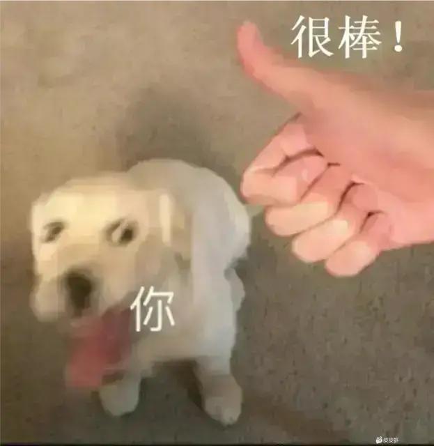 很多🚪哥都挺惯着我的我说。有些把我当妹妹的就夸我长得很可爱性格也很好让他每天都咧着嘴傻笑。有些跟我ghs的就夸我人美逼美又骚，拍的视频让他想狠狠射我小逼里。有些把我当朋友的就跟我碎碎念，念早饭吃了什么晚饭吃了什么，念外面的天蓝蓝草绿绿，他在哪里又想到了我
总之我很开心认识这么一群人～ https://t.co/WcgiqWkkrf