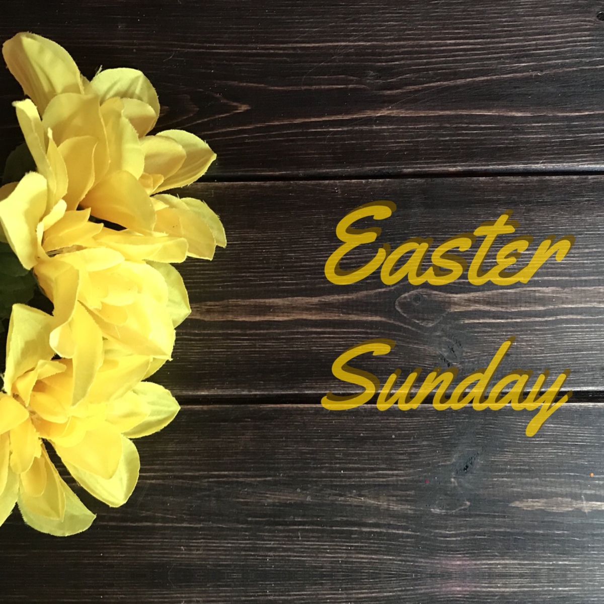 EDS Learning Institute tweet media