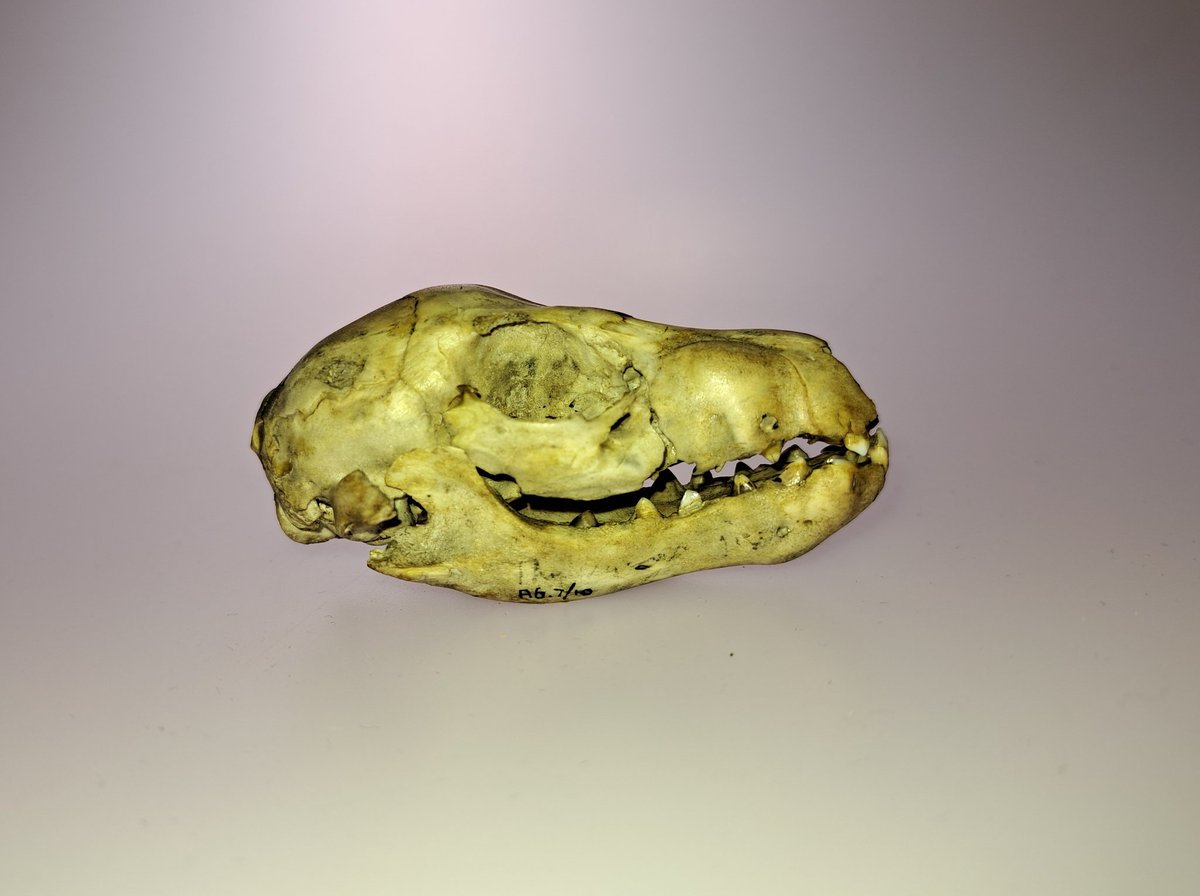 Jack Ashby tweet media