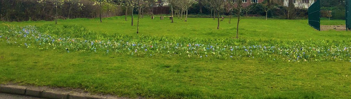 yanghuaiyu's tweet photo. Group lunch @lborouniversity with flowers in campus. Welcome to new @ Yige @ Yizhen from China @ Kavita from India joining @LboroChemEng @LboroEng. Thank @ Haifeng for great works on HEK cell biocrystallisation @BioReCrystal and hope all the best and enjoy the future in Japan. https://t.co/3FfWWRO9im
