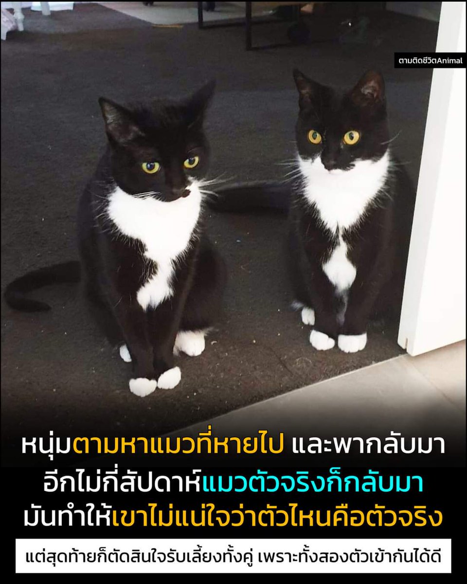 55555 น้อนนนน...น่ารัก
cr: ตามติดชีวิตanimal