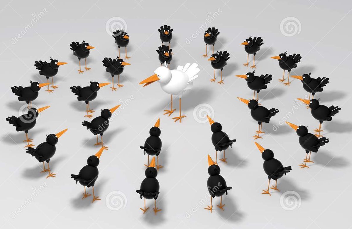 alexevans91's tweet photo. what bird opinions get you in this situation? https://t.co/q7CW9FcCmF