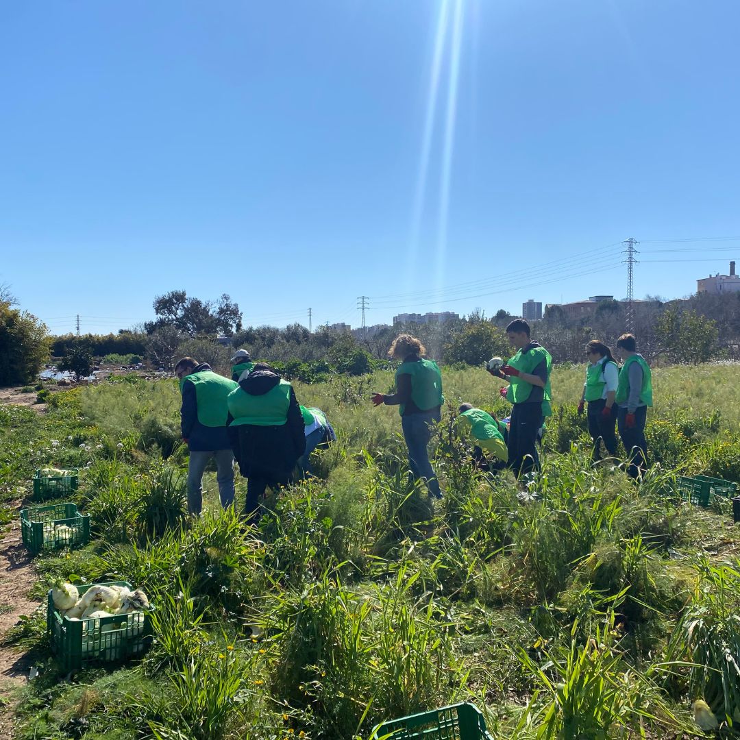 ESTEVE Global tweet media