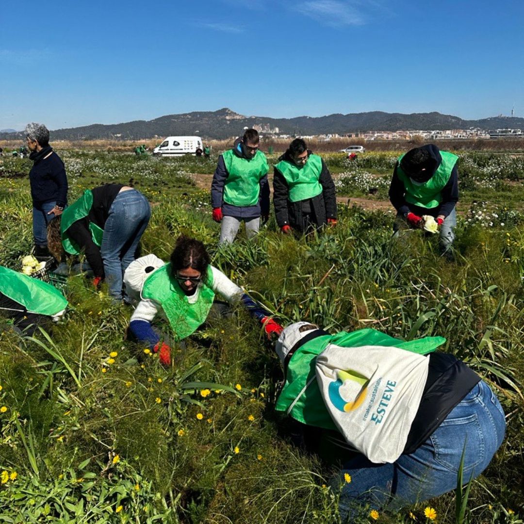 ESTEVE Global tweet media